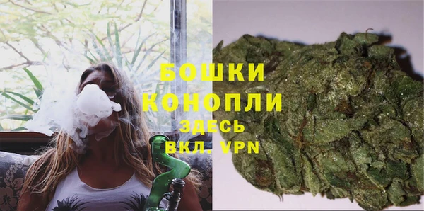 СК Струнино