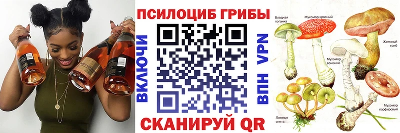 Псилоцибиновые грибы мицелий  где продают   hydra как зайти  Брянск 
